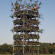 Image for article titled Behold These Incredible Works Of Architecture Made Out Of Living Trees